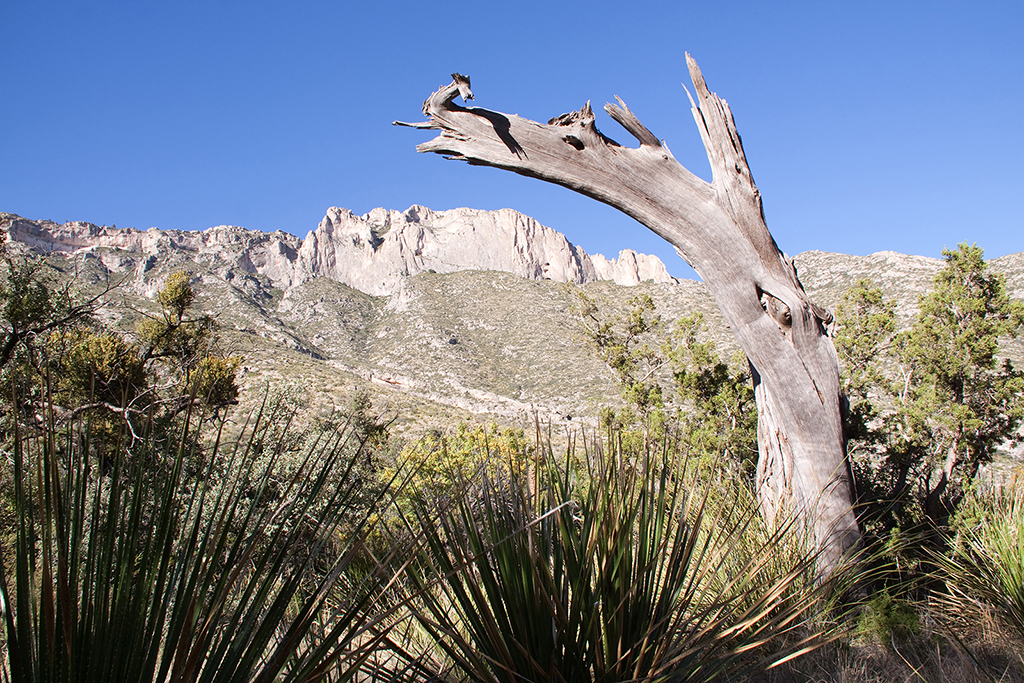 23_McKittrick Canyon_2.jpg